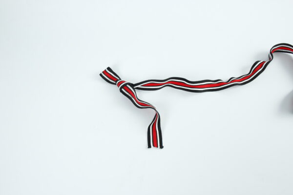 Polyester Webbing Ribbon - Image 5