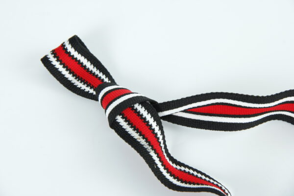 Polyester Webbing Ribbon - Image 4